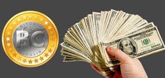 Startups Brace for Bitcoin Cash Fork in Wave of Policy Updates
