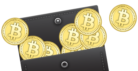 Bitcoin's Biggest Software Wallet Blockchain Adds Ethereum