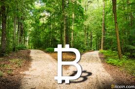 What Happened to Bitcoin Today: A Recap of the Blockchain's Big Split