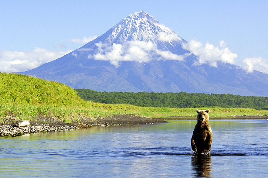 Russia to Promote Environmental Projects with “Green Cryptocurrency”