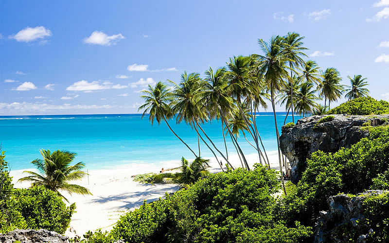 Prime Minister's Son to Head Barbados Blockchain Startup