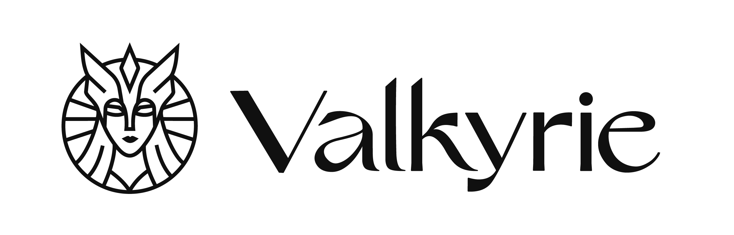 Crypto asset manager Valkyrie raises $10M in Series A round