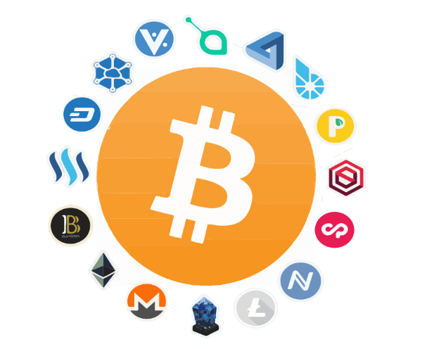 As Bitcoin's price stabilizes, altcoins outperform.