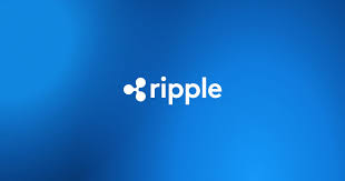 Despite the SEC's XRP lawsuit, Ripple has had its "strongest year ever," according to its CEO.