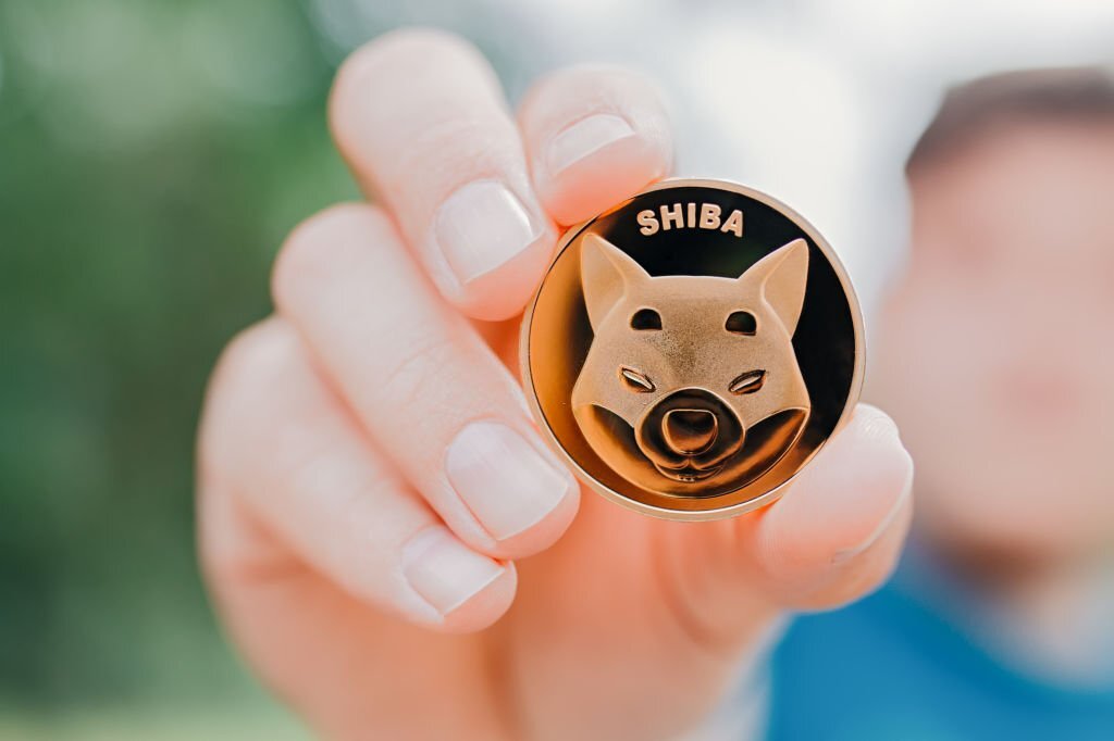 The Metaverse of Shiba Inu will have over 100,000 land plots.