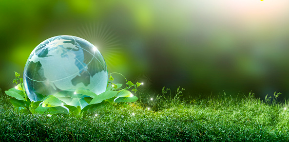 More Oversight of Cryptocurrency's Environmental Impacts is Wanted by US Lawmakers