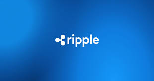 Despite the SEC’s XRP lawsuit, Ripple has had its “strongest year ever,” according to its CEO.