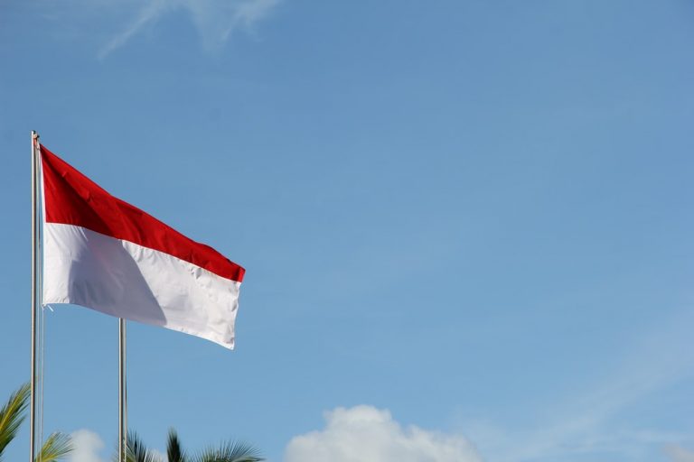 Starting in May, the Indonesian government will levy a 0.1 percent crypto tax.